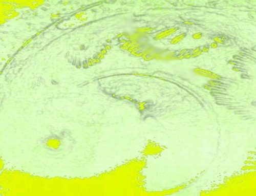 Gemeinschaftslesung: C.Nerger, D.Siegel, M.OstenSonntag, 23.03.2025, 16 Uhr