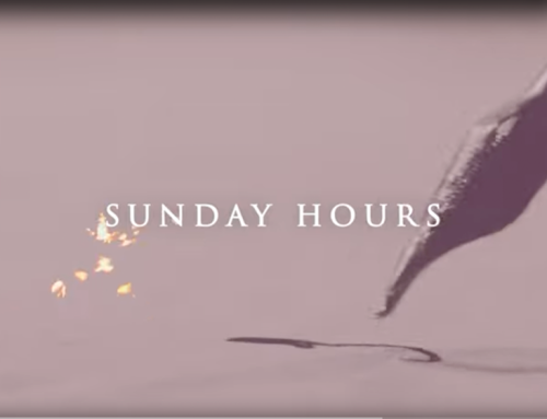 sunday hours – Sonntag, 26. Februar 2023, 10 bis 15 Uhr